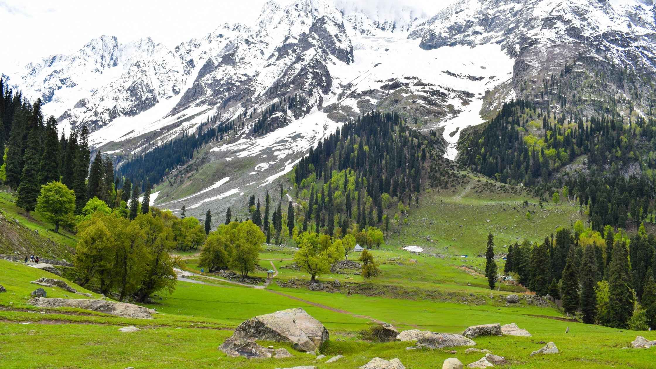 Splendors of Kashmir