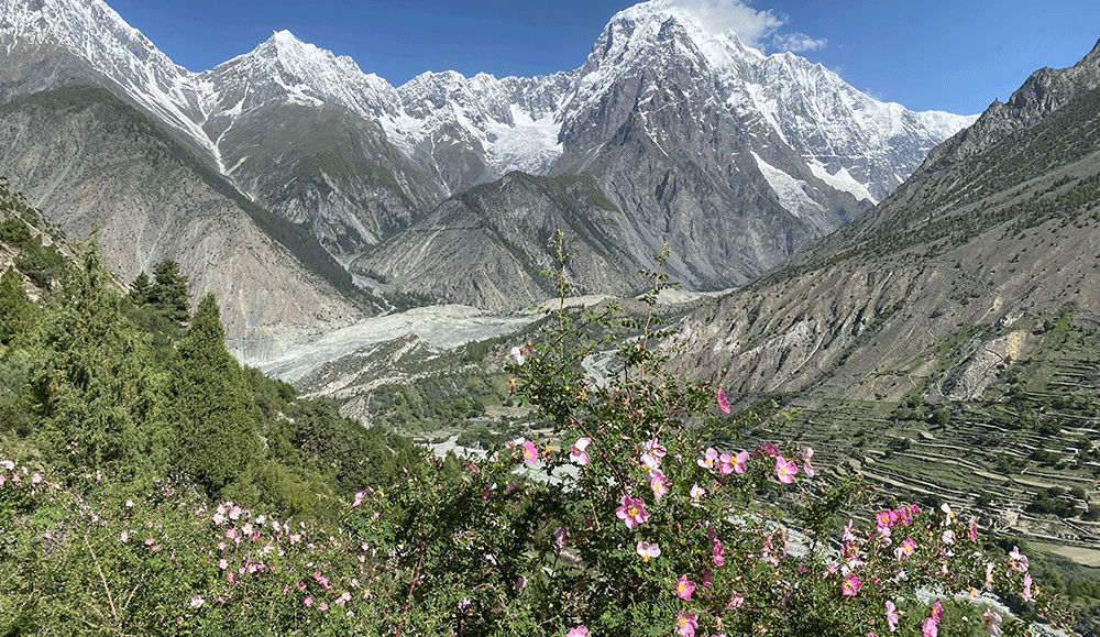Day Excursion To Bagrot Valley