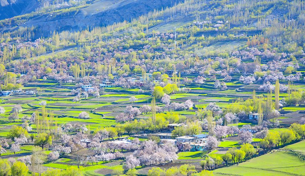 Proposed day plan to Chunda Valley