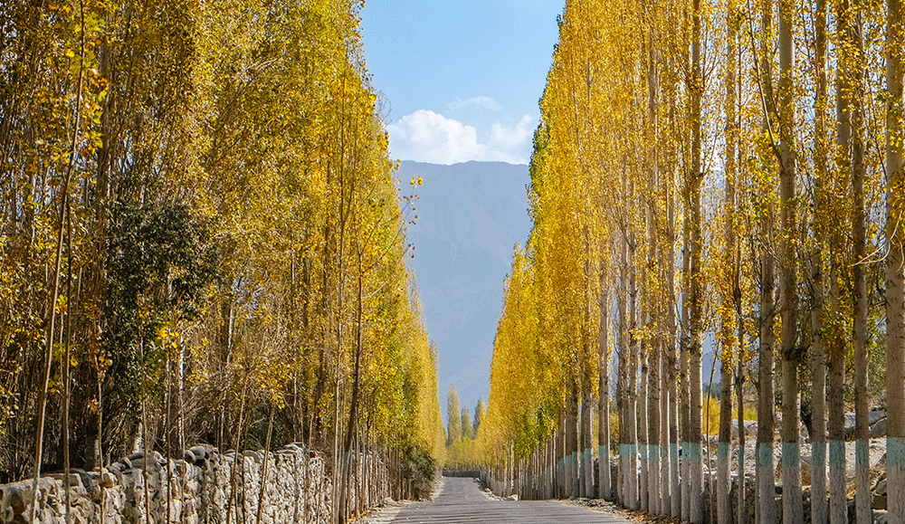 Proposed day excursion plan