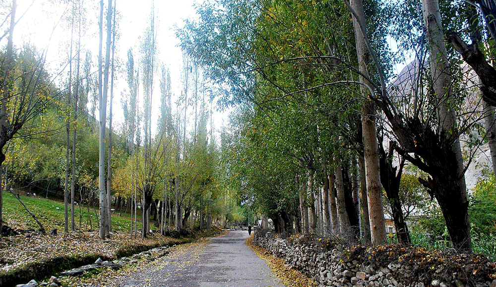 Day Excursion To Gappa Valley (from Gilgit)