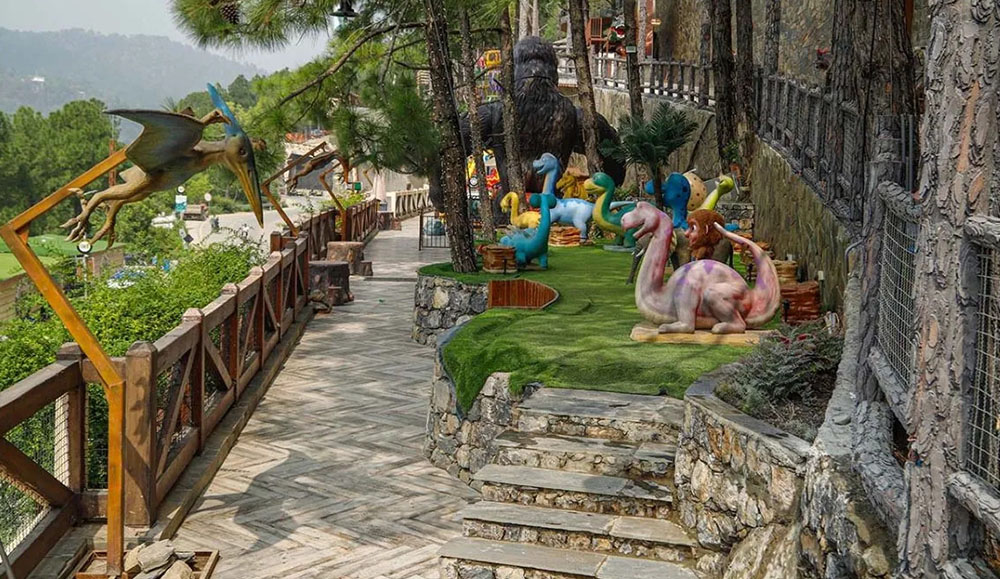 Day Excursion to Dino Valley from Islamabad/Rawalpindi