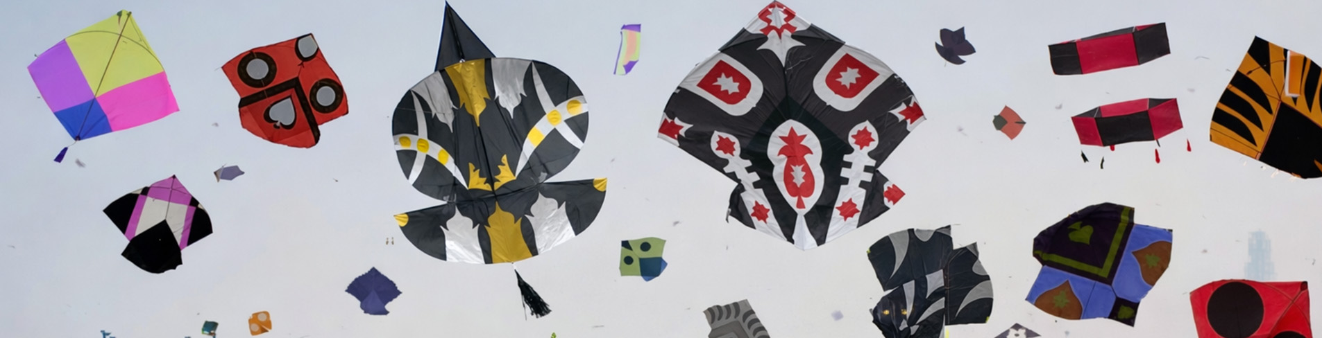 Basant Kite-Flying Festival