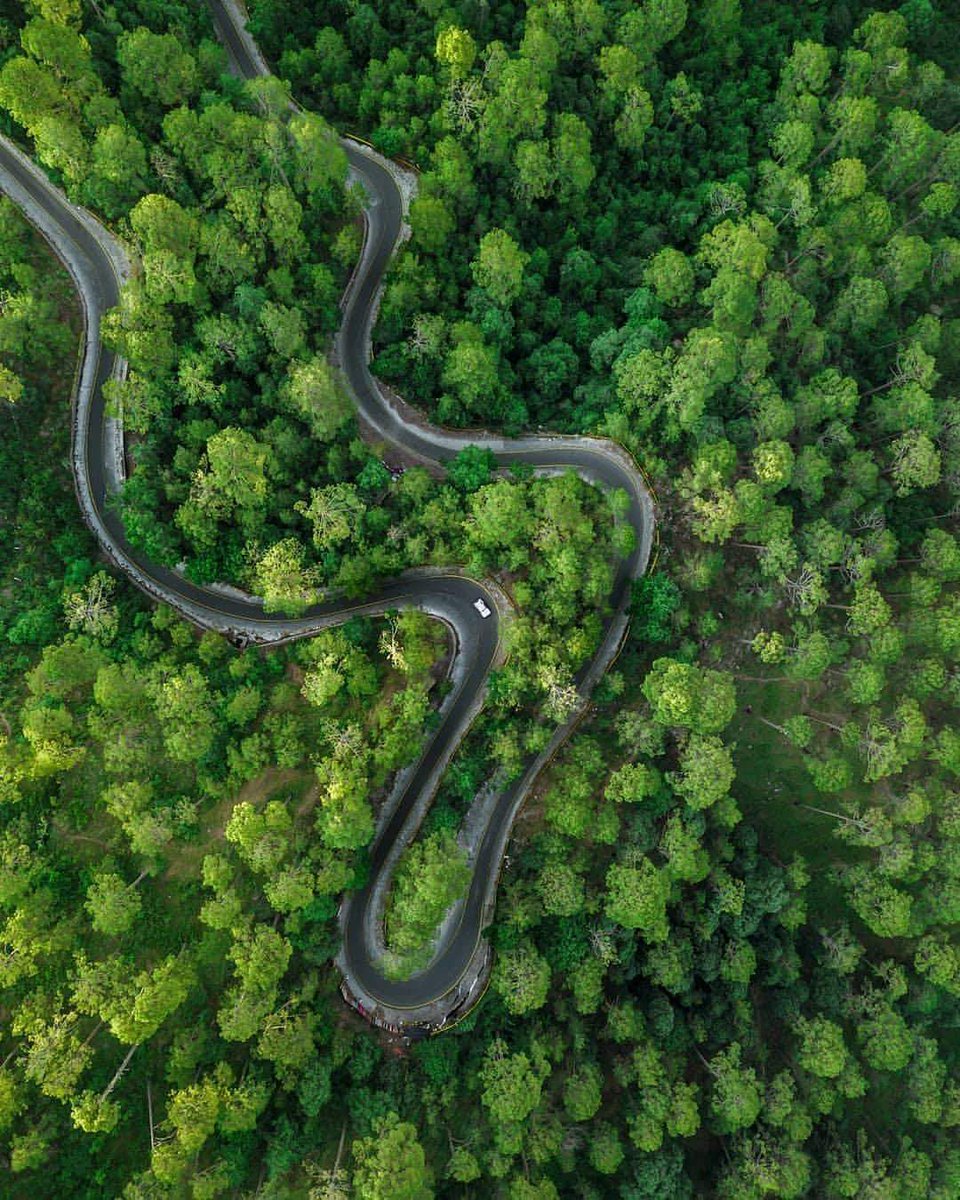Ayubia National Park & Pipeline Track
