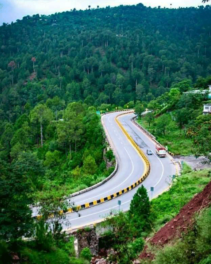 Muree