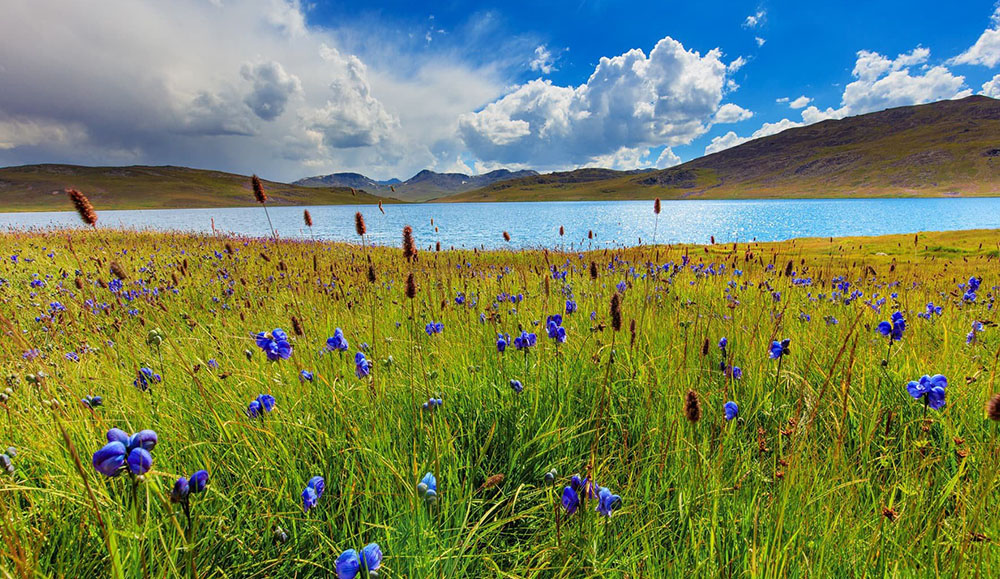 Astore and Deosai Plains