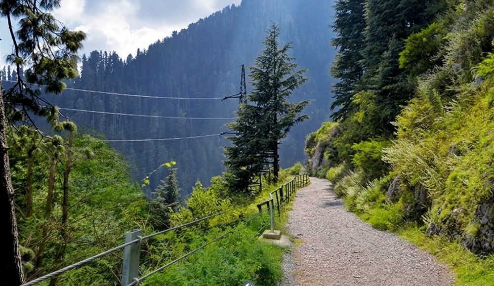 Day Hike to Pipeline Track (From Murree/Bhurban)