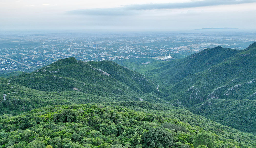 Day Hike To Margalla Hills (from Rawalpindi / Islamabad)