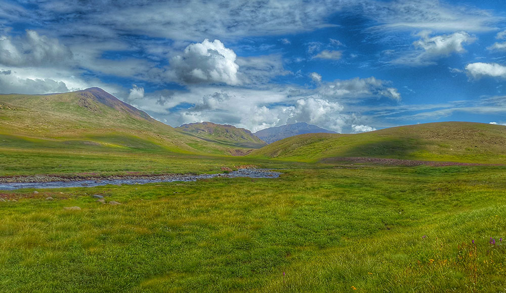 Day Excursion To Deosai Plains (from Skardu)