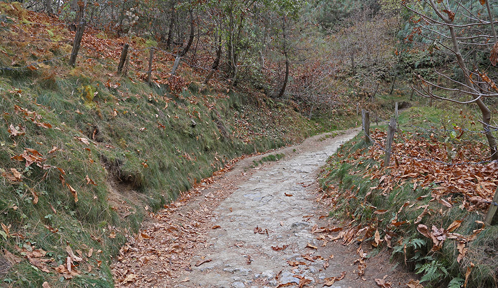 Day Plan from Murree/Bhurban