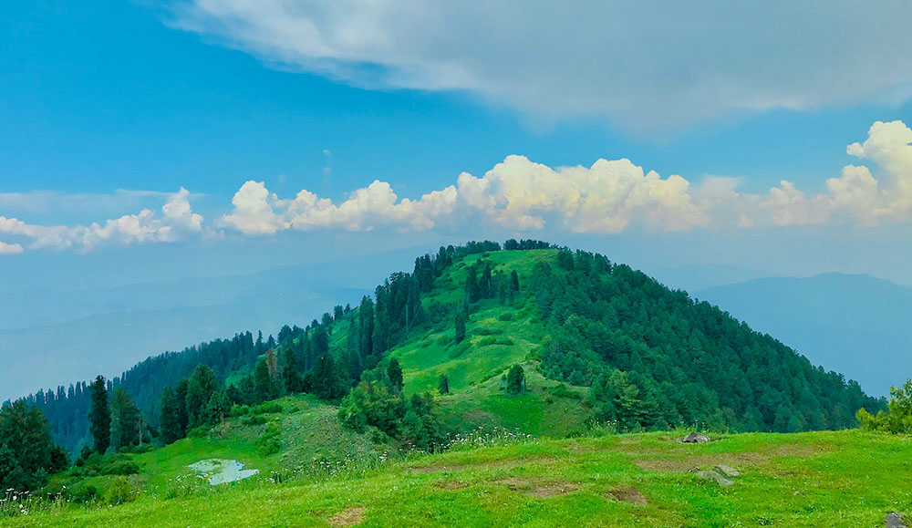 Day Plan from Murree/Bhurban