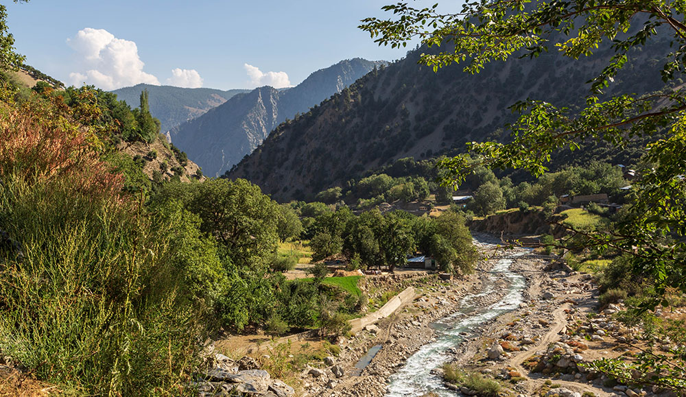 Naltar and Hunza Valley Tour
