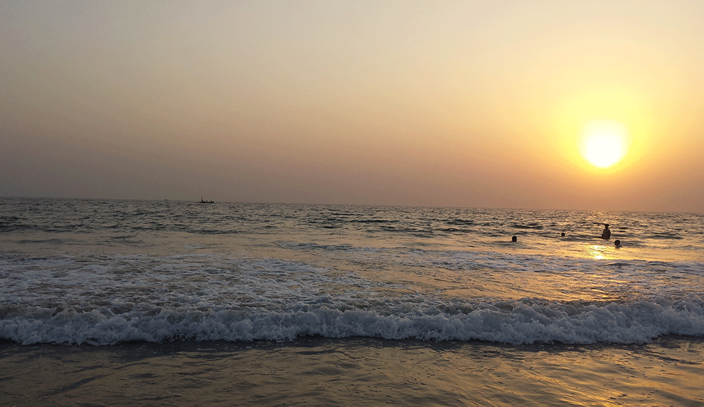 Hawke's Bay and Sandspit Beach